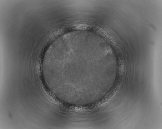 X0000110690641200907241105