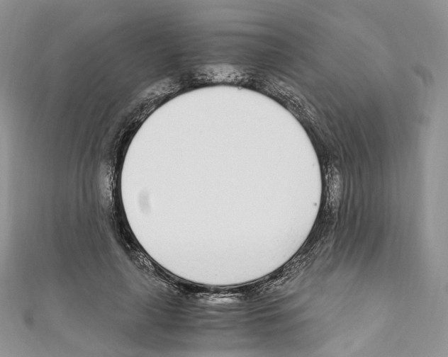 X0000110690643200907241105