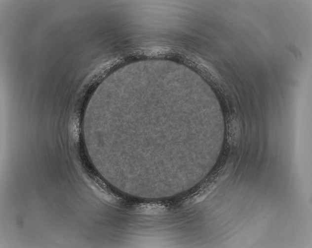 X0000110690644200907241105