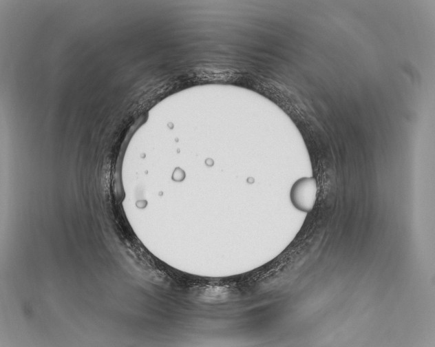 X0000110690647200907241105