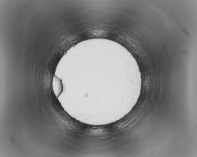 X0000110690651200907241105