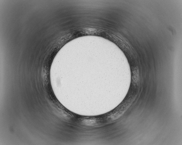 X0000110690653200907241105