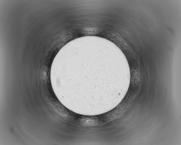 X0000110690655200907241105