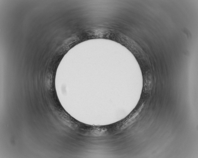 X0000110690656200907241105