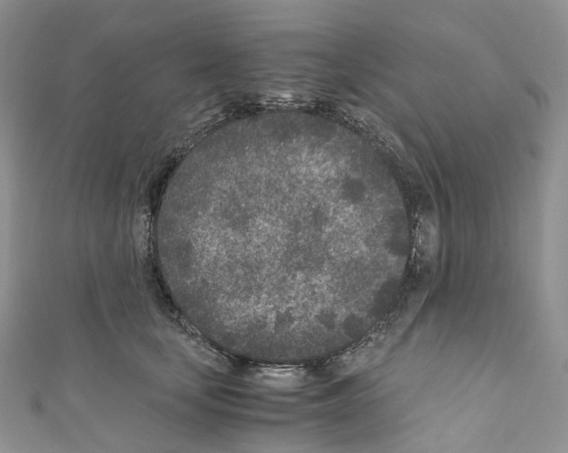 X0000110690659200907241105