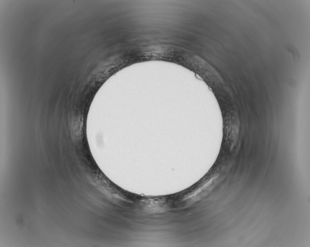 X0000110690660200907241105