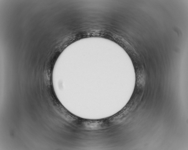 X0000110690661200907241105