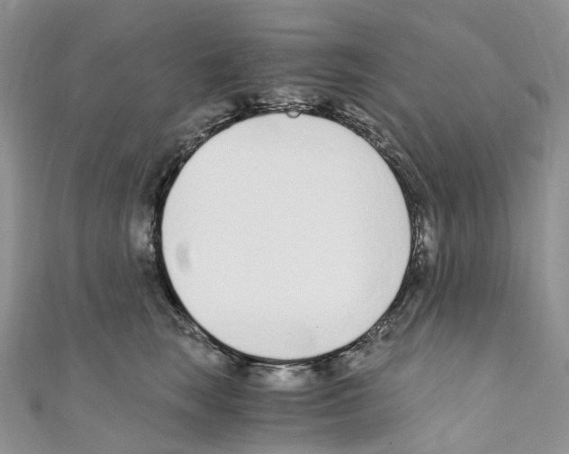 X0000110690663200907241105