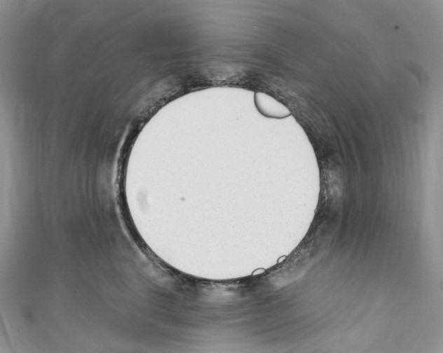 X0000110690664200907241105