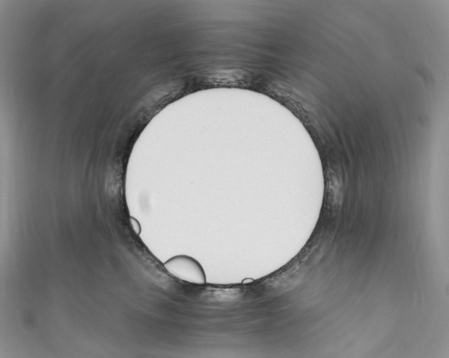 X0000110690665200907241105