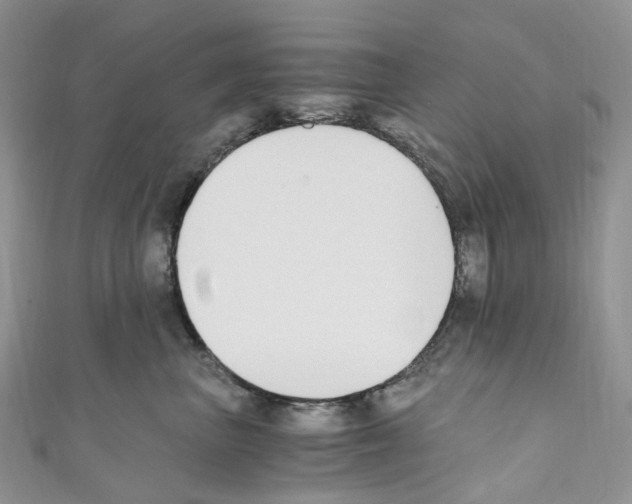 X0000110690667200907241105