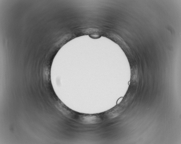 X0000110690669200907241105