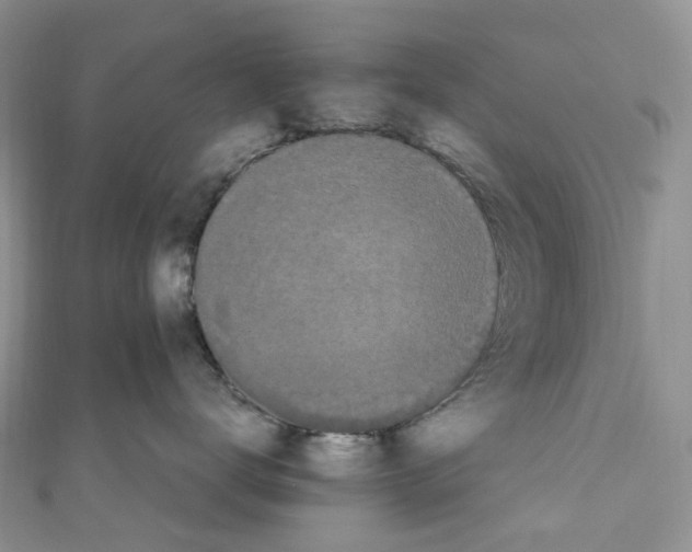 X0000110690672200907241105