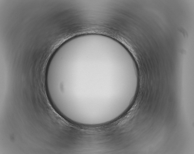 X0000110690673200907241105