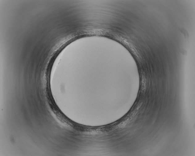 X0000110690674200907241105