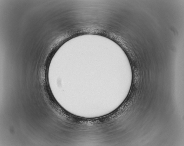 X0000110690679200907241105