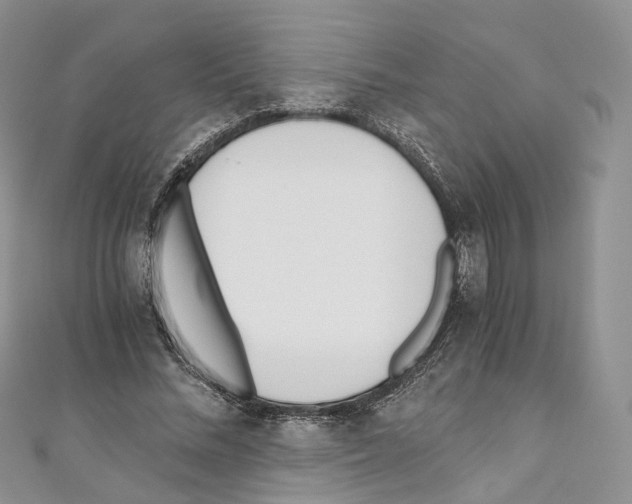 X0000110690684200907241105