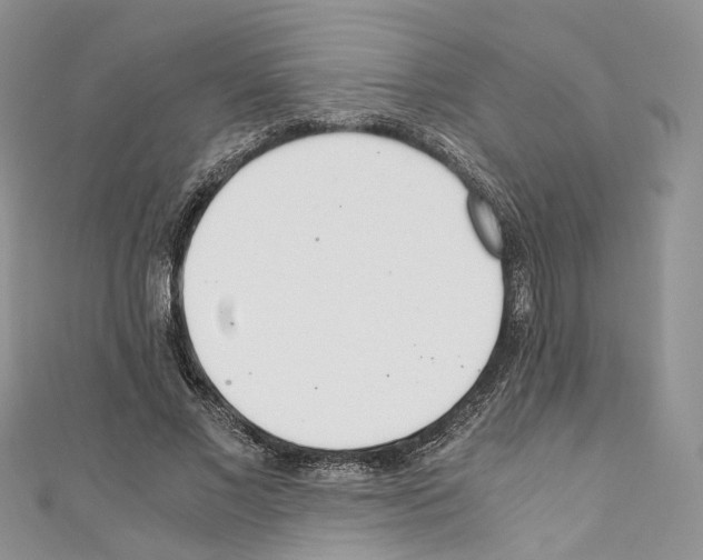 X0000110690685200907241105