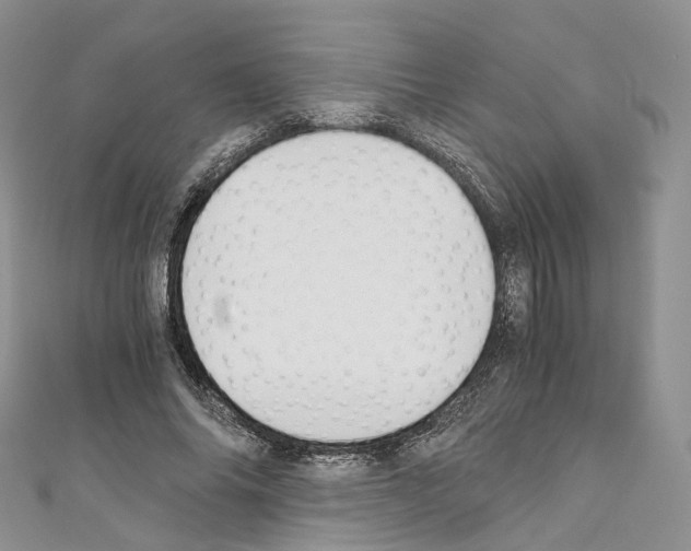 X0000110690686200907241105