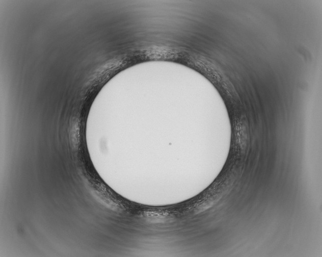 X0000110690690200907241105