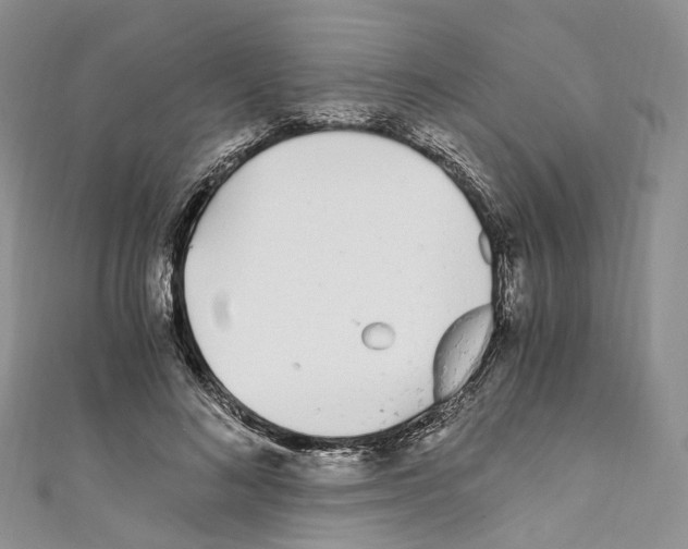 X0000110690692200907241104