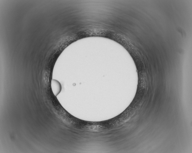 X0000110690695200907241104