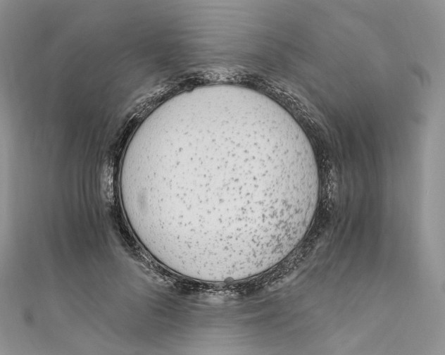 X0000110690696200907241104