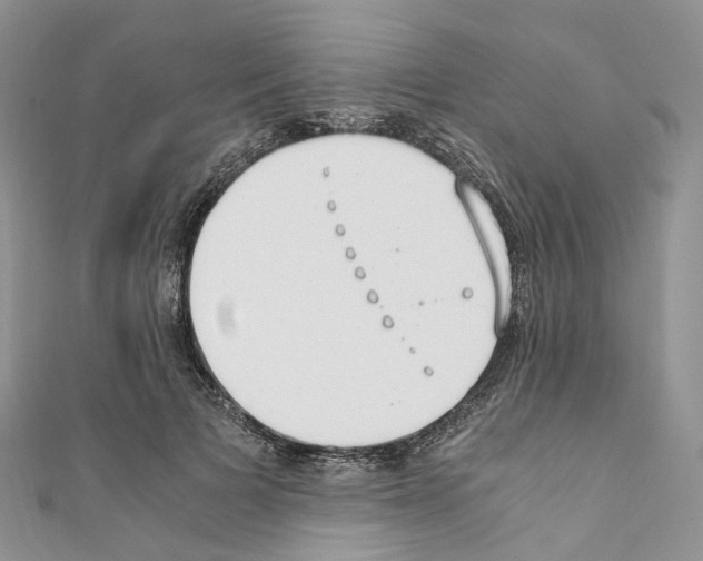 X0000110690697200907241104