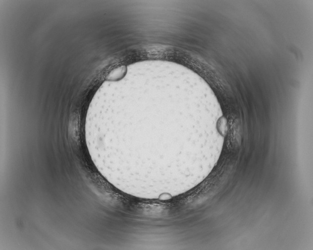 X0000110690698200907241104