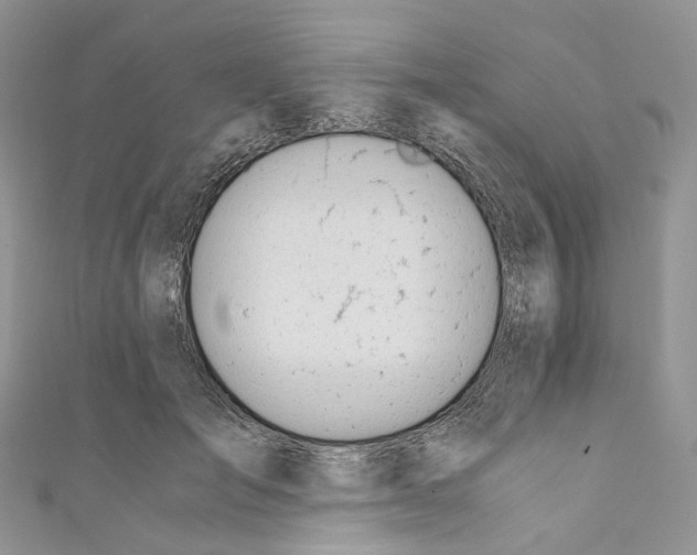 X0000110690701200907241104