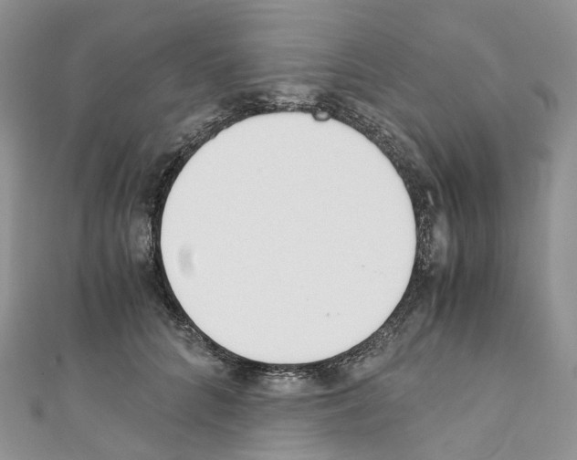 X0000110690704200907241104