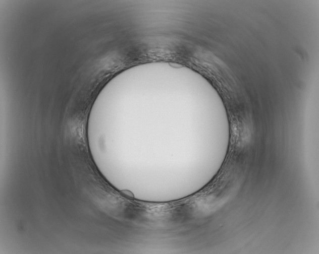 X0000110690705200907241104