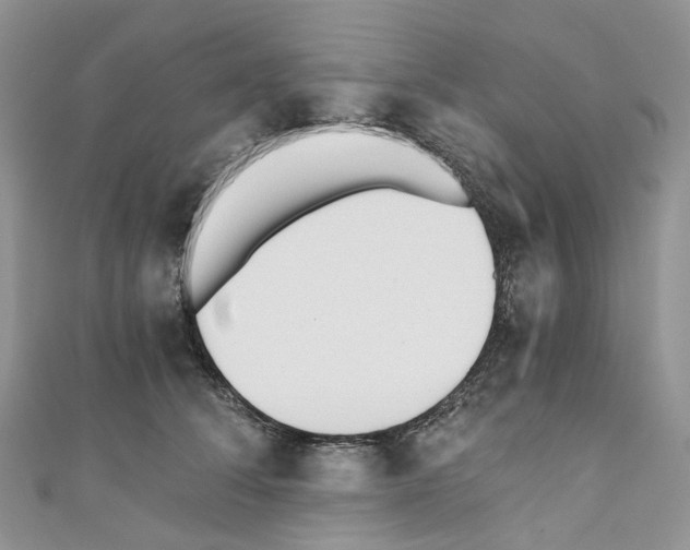 X0000110690708200907241104