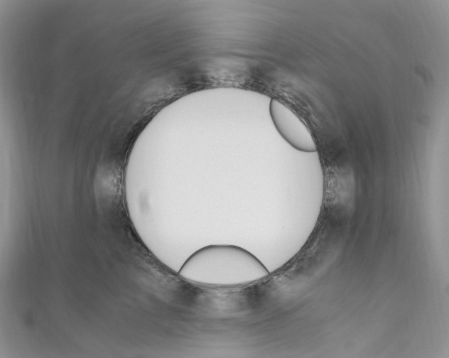 X0000110690713200907241104