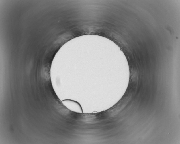 X0000110690719200907241104