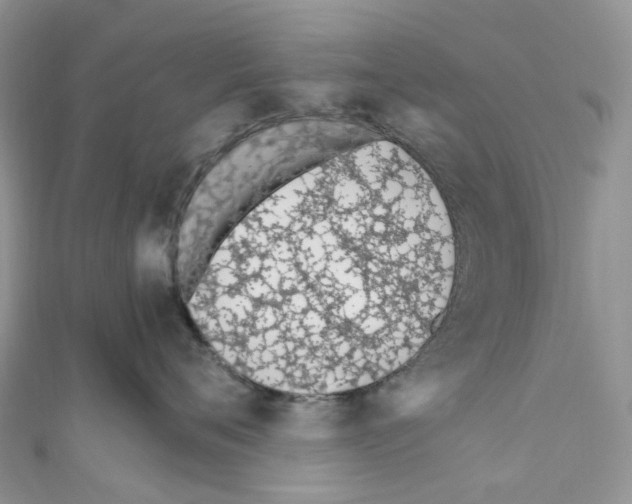 X0000110690720200907241104