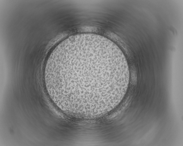 X0000110690721200907241104