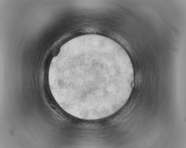 X0000110690722200907241104