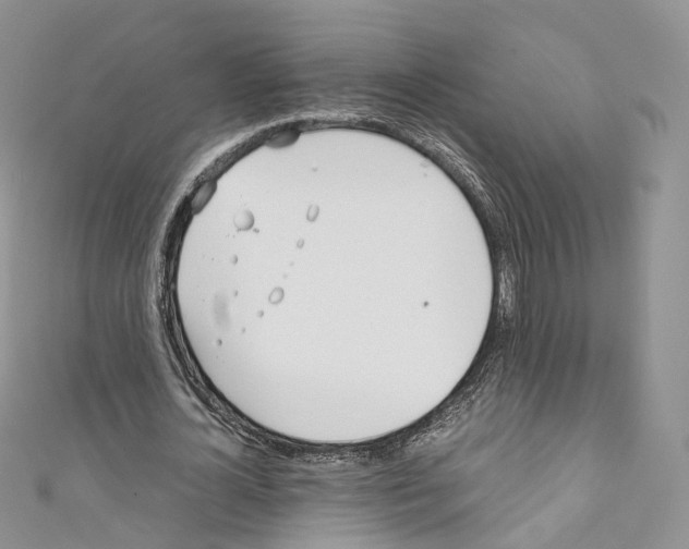 X0000110690724200907241104