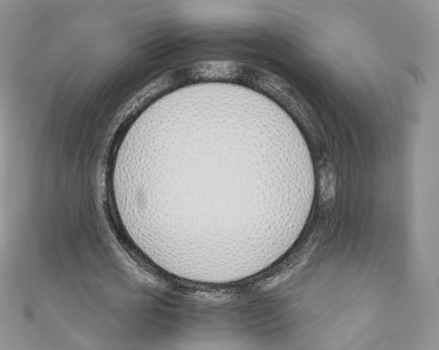 X0000110690725200907241104