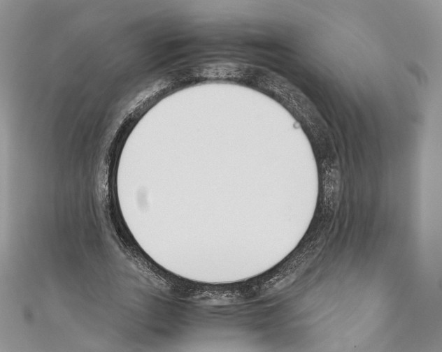 X0000110690727200907241104