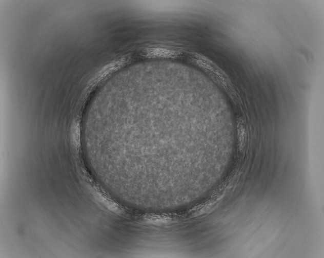 X0000110690729200907241104