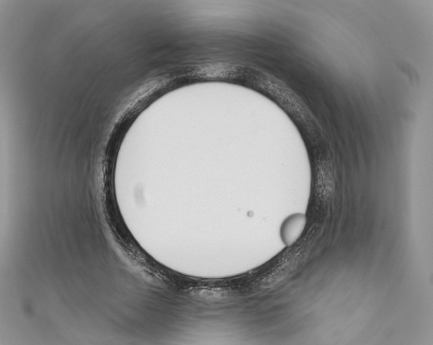 X0000110690730200907241104