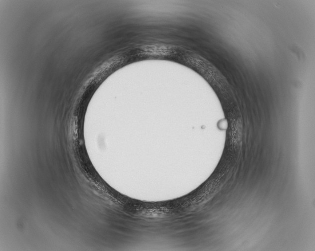 X0000110690731200907241104