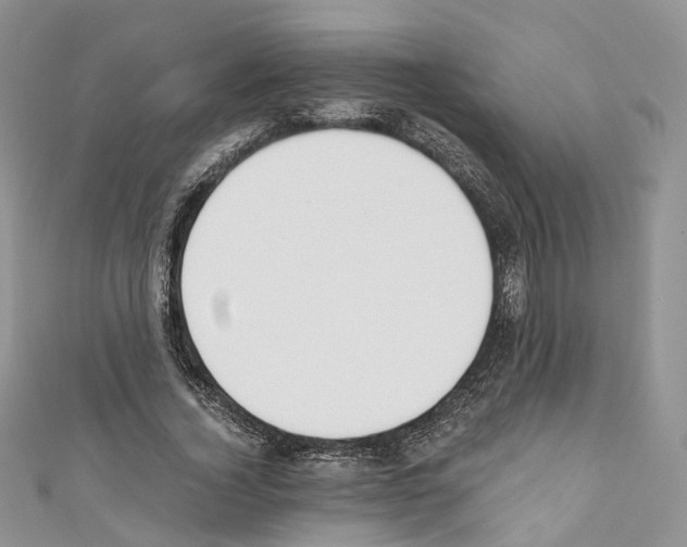 X0000110690732200907241104