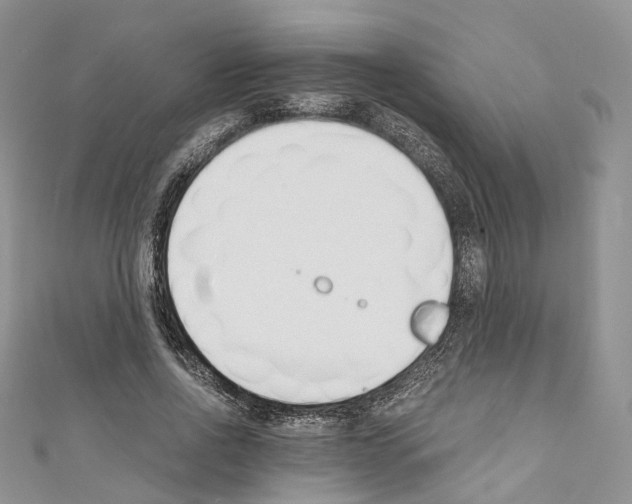 X0000110690734200907241104