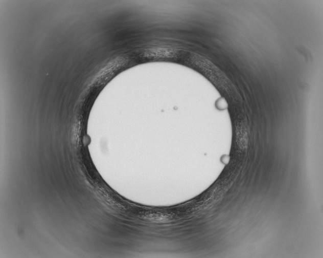 X0000110690735200907241104