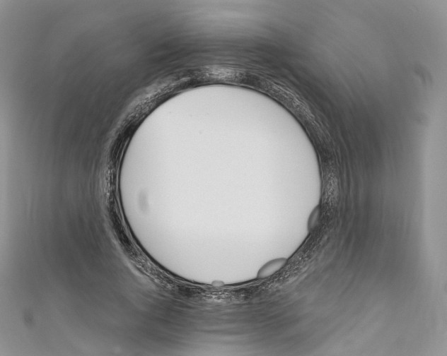 X0000110690736200907241104