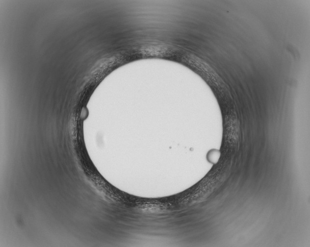 X0000110690738200907241104