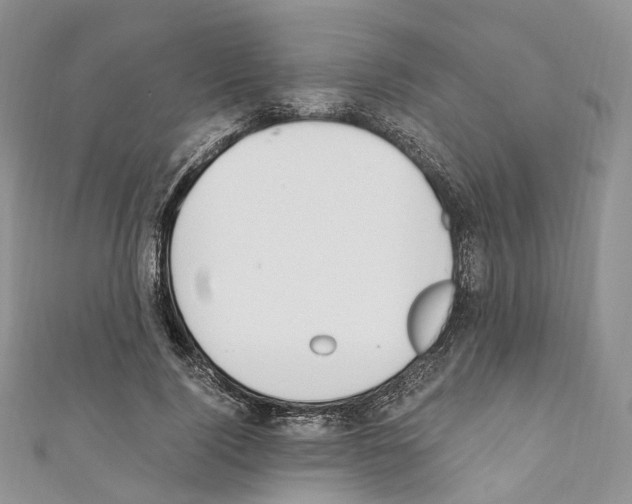 X0000110690740200907241104